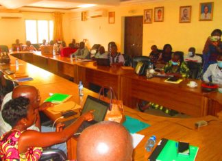 Planification familiale au Burkina Faso : Des journalistes sollicités pour mobiliser des fonds