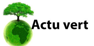 Journée nationale de l’arbre 2021 : sous le sceau de l’identité culturelle et de la cohésion sociale