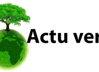 Journée nationale de l’arbre 2021 : sous le sceau de l’identité culturelle et de la cohésion sociale