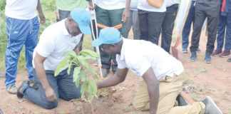 Centrale solaire photovoltaïque de Zagtouli : 553 plants mis en terre