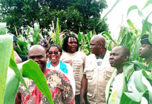 Campagne agricole humide dans les Cascades : Une physionomie jugée satisfaisante