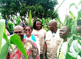 Campagne agricole humide dans les Cascades : Une physionomie jugée satisfaisante