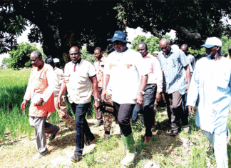 Campagne agricole au Nord : « Si le rythme des pluies se maintient, nous aurons une bonne récolte », le ministre Salifou Ouédraogo