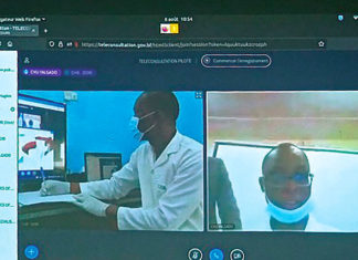 Téléconsultation en pédiatrie : Expérience avec une patiente souffrant d’une envenimation