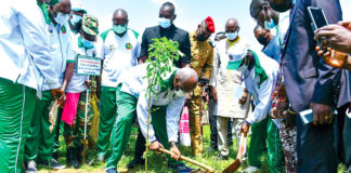Journée nationale de l’arbre : Gagner le combat contre la désertification