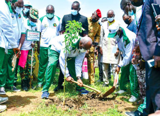 Journée nationale de l’arbre : Gagner le combat contre la désertification
