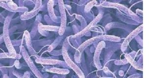 Situation épidémiologique dans la sous région: le ministère de la santé attire l’attention