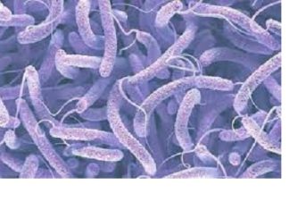 Situation épidémiologique dans la sous région: le ministère de la santé attire l’attention