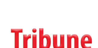 Et si le combat politique en Afrique se trompait de cible ?