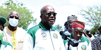 Actu vert : Entretenons nos plants