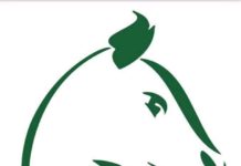 Fasofoot : Le championnat de D1 devient Ligue 1 Lonab