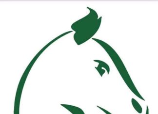 Fasofoot : Le championnat de D1 devient Ligue 1 Lonab