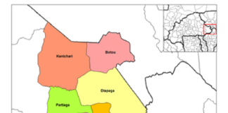 Tapoa (Est): Le chef VDP de Diapaga et son épouse blessés à leur domicile