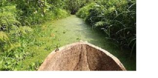 Biodiversité : L’UNESCO désigne 20 nouvelles réserves de biosphères dans 21 pays