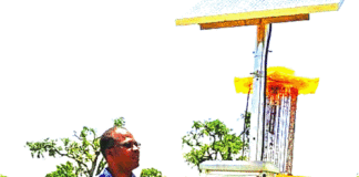 Filière semences agricoles améliorées certifiées : Inoussa Ouédraogo révolutionne la production semencière