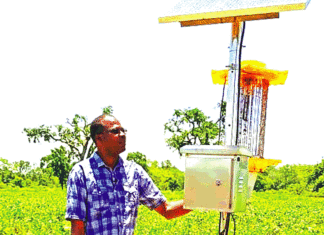 Filière semences agricoles améliorées certifiées : Inoussa Ouédraogo révolutionne la production semencière