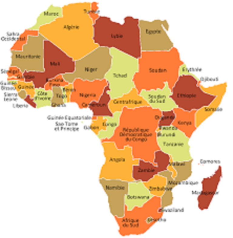 Conférence internationale sur les sciences et la diplomatie à Ouagadougou:  Le  Comité national d’organisation installé le vendredi 23 septembre