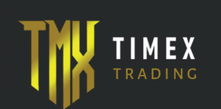 Arnaque via le placement en ligne : Quand « Timex trading » réussit son coup à Manga