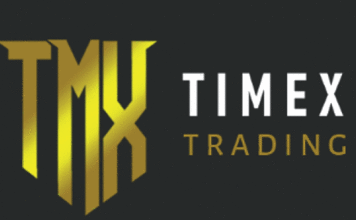 Arnaque via le placement en ligne : Quand « Timex trading » réussit son coup à Manga