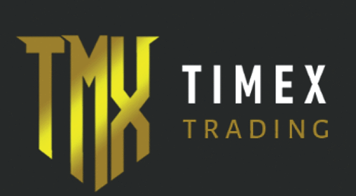 Arnaque via le placement en ligne : Quand « Timex trading » réussit son coup à Manga