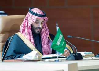 Changement climatique : L’Arabie saoudite lance deux Initiatives vertes