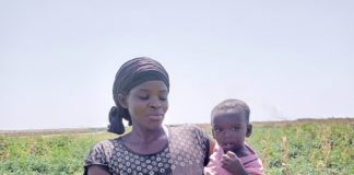 Exploitation des terres aux abords du barrage Oumarou Kanozoé :Les femmes, la main d’œuvre des producteurs