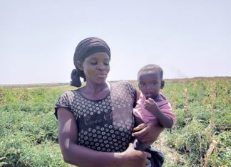 Exploitation des terres aux abords du barrage Oumarou Kanozoé :Les femmes, la main d’œuvre des producteurs