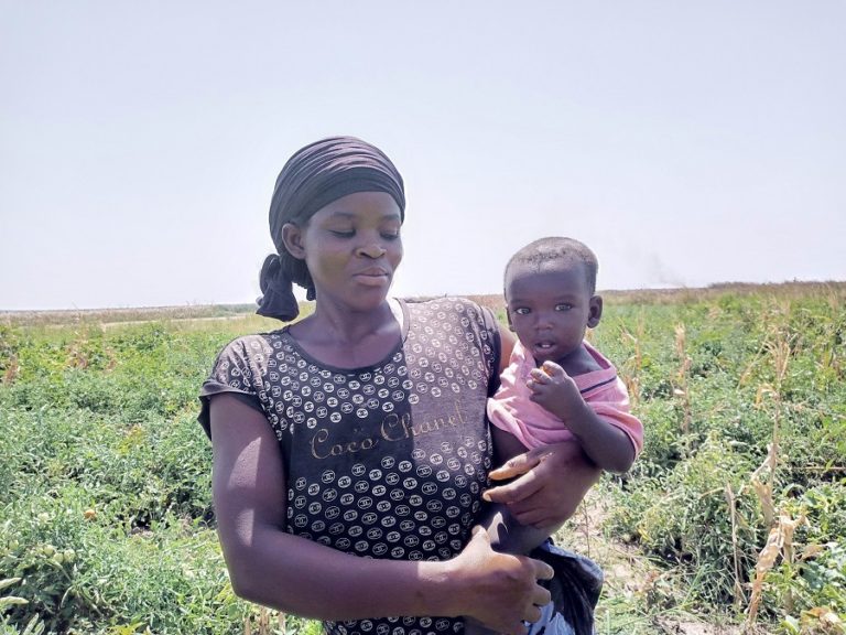 Exploitation des terres aux abords du barrage Oumarou Kanozoé :Les femmes, la main d’œuvre des producteurs