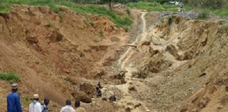 Orpaillage dans la zone pastorale de la Nouaho : Une entrave à la pratique de l’élevage