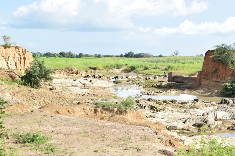 Barrage de Gogo dans le Centre-Sud : Un patrimoine hydraulique en ruine