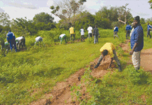 Ceinture verte de Ouagadougou : Renaître de ses cendres, une nécessité vitale