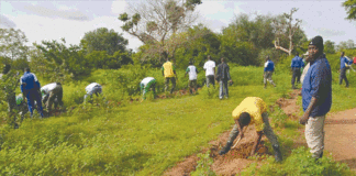 Ceinture verte de Ouagadougou : Renaître de ses cendres, une nécessité vitale