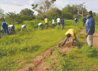 Ceinture verte de Ouagadougou : Renaître de ses cendres, une nécessité vitale