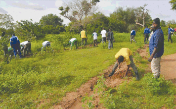 Ceinture verte de Ouagadougou : Renaître de ses cendres, une nécessité vitale