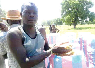 Province des Banwa : Yézouma Coulibaly, de militaire radié à agriculteur millionnaire