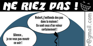 Sourire du 4/11/2021