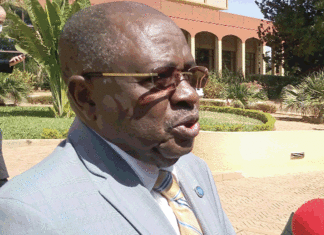 Autorité du bassin du Niger : Vers une refondation de l’institution