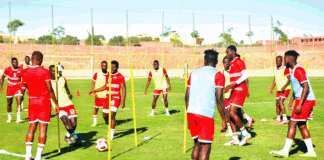 Stage des Etalons à Marrakech : Un groupe au complet