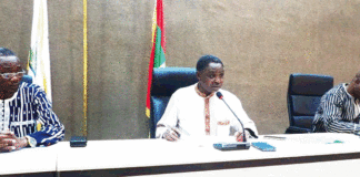 Protection de l’environnement :18 forêts classées désormais dans le Kénédougou