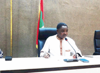 Protection de l’environnement :18 forêts classées désormais dans le Kénédougou