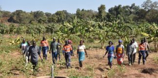 Wahgnion Gold : Relever le défi du relèvement économique des populations impactées