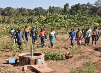 Wahgnion Gold : Relever le défi du relèvement économique des populations impactées