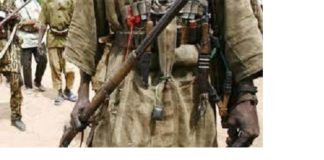 Mangodara : Des tirs entendus à Noumoutiedougou entre terroristes et dozos