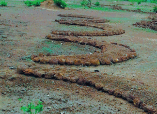 Dégradation des terres : Une nouvelle méthode pour inverser la tendance