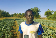 Dégradation des sols à Ouahigouya : L’engrais chimique pointé du doigt