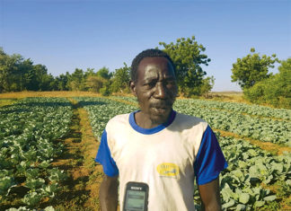 Culture maraîchère à Ouahigouya : les producteurs dans la tourmente