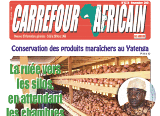 Une Carrefour Africain n°1273-Novembre 2021