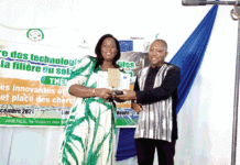 Nuit du Solaire 2021 : Des chercheurs « innovants » récompensés