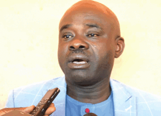 Secteur du coton : Relever le défi de la transformation locale