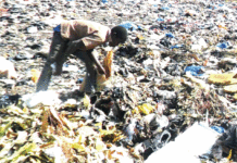 Recherche de l’emploi : Le salut dans les dépotoirs d’ordure